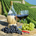 The Most Delicious Wines in the World