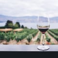 Is Pinot Noir Sweet or Dry? Exploring the World of Top-Tier Red Wines