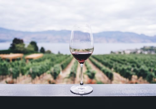 Is Pinot Noir Sweet or Dry? Exploring the World of Top-Tier Red Wines