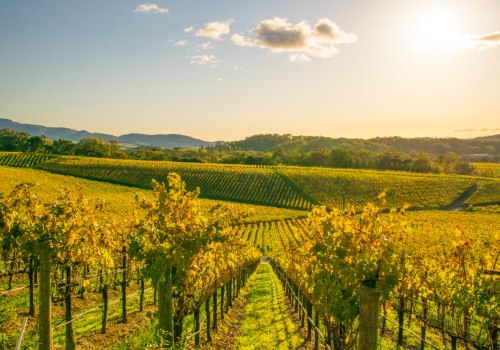 The Top Wineries Around the World