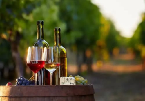 Exploring the World of Wine: From Varietals to Terroir